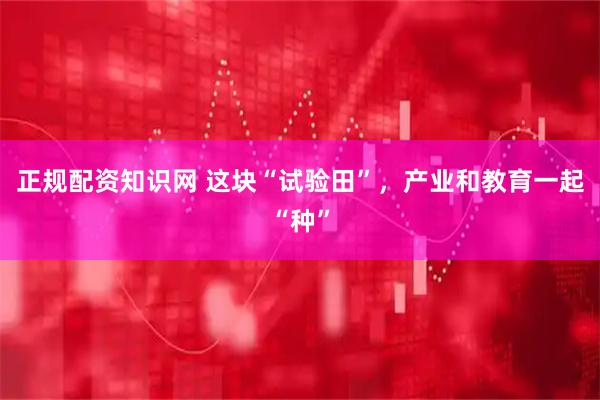 正规配资知识网 这块“试验田”，产业和教育一起“种”